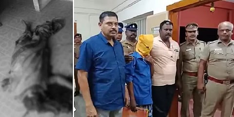 இரக்கமின்றி கொல்லப்பட்ட மனநலம் பாதிக்கப்பட்ட பெண் - திருப்பூரில் அதிர்ச்சி: நடந்தது என்ன?