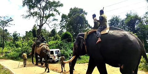 'தாறுமாறாக திரியும் மக்னா யானை' - மயக்க ஊசி செலுத்த வனத்துறை திட்டம்