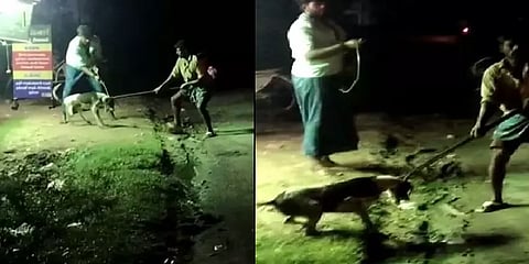 ஒரு நாயை கொல்ல 200-300 ரூபாய் கூலி! நாய்களை கொன்றுகுவித்த ஊராட்சிதலைவர் மீது வழக்கு பதிவு