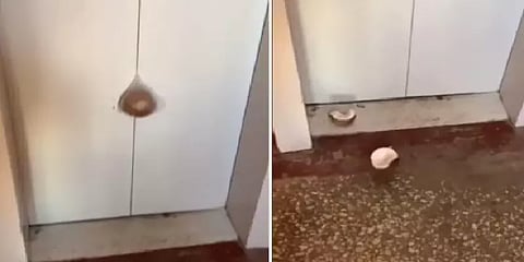 ”தேங்காய் உடைக்க இப்படியும் ஒரு ஹேக்” -இது நம்புறா மாதிரியா இருக்கு என நெட்டிசன்ஸ் ட்ரோல்!