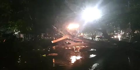 மாண்டஸ் புயல் காற்றில் வேரோடு சாய்ந்த மரங்கள் கொட்டும் மழையிலும் வெட்டி அகற்றம்