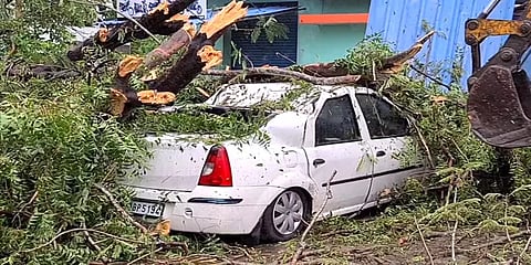 மரம் விழுந்து சேதமடைந்த கார்: பலத்த காற்று வீசியதால் வந்தவாசியில் மின்சாரம் துண்டிப்பு