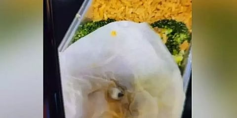 விமானத்தில் அளிக்கப்பட்ட உணவில் கிடந்த ’பல்’ - அதிர்ச்சியான பயணி!