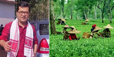`தேசிய பானமா அறிவிங்க...’ - 200-ம் ஆண்டில் கால்பதிக்கும் அசாம் தேயிலை தொழில்!