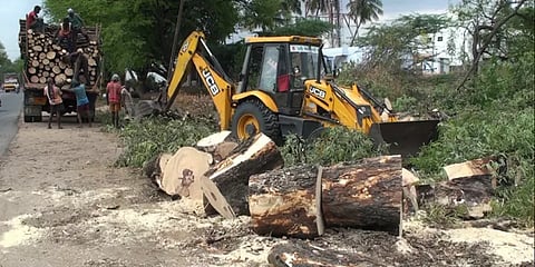 4 வழிச்சாலை திட்டத்துக்காக கோவை தேசிய நெடுஞ்சாலையில் வெட்டப்பட்ட 400+ மரங்கள்!