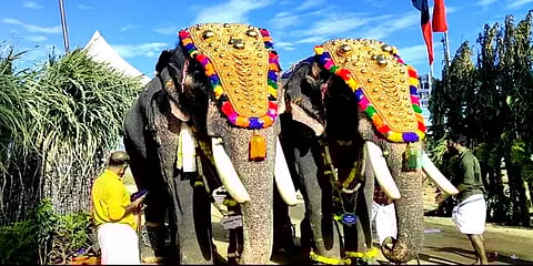 கஜபூஜை என அனுமதிபெற்று அமைச்சர் பி.மூர்த்தியின் இல்ல விழாவிற்கு பயன்படுத்தப்பட்ட யானைகள்?