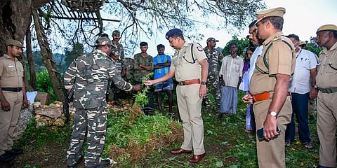 கோவையில் பழங்குடியின கிராமத்தில் வளர்க்கப்பட்ட கஞ்சா செடி - 15 கிலோ பறிமுதல்; 4 பேர் கைது