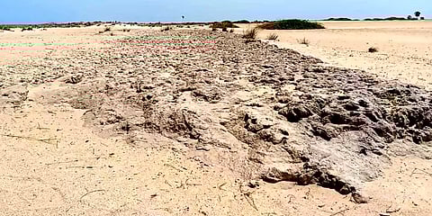 ராமநாதபுரம் அருகே கண்டறியப்பட்ட பழமையாக கடல்வழி சாலை - ஆய்வு செய்ய கோரிக்கை