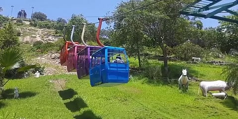 பழனி முருகன் கோவிலில் டிச.19இல் மட்டும் ரோப் கார் சேவை நிறுத்தம் - என்ன காரணம்?