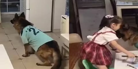 ஓஹ்ஹ் இதுதான் Pa(w)rtner in Crime-ஆ? - மண்டைல இருந்த கொண்டைய மறந்த மொமன்ட் என்னன்னா?..