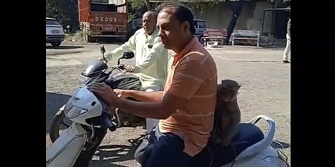 ’சேட்டை தாங்கமுடியவில்லை’ - குரங்கை காவல்நிலையம் அழைத்துவந்த நபரால் பரபரப்பு