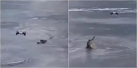 ``போச்ச்சே போச்ச்ச்சே...”- முதலையை படமெடுத்த ட்ரோனுக்கு நேர்ந்த கதி... திக் திக் நொடிகள்!