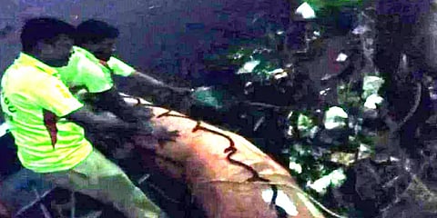 மன உளைச்சலில் இருந்த ஆட்டோ டிரைவர்.. திடீரென அடையாறு ஆற்றில் குதித்ததால் பரபரப்பு