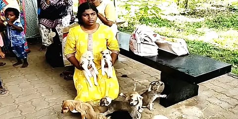 திருச்சி: நாய்க் குட்டிகளுடன் ஆட்சியரிடம் மனு அளிக்க வந்த பள்ளி மாணவி – காரணம் என்ன?