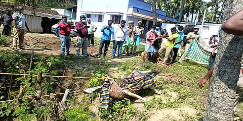 ஈஷா யோகா மையத்தில் பயிற்சி பெற்றுத் திரும்பிய போது காணாமல் போன பெண் சடலமாக மீட்பு
