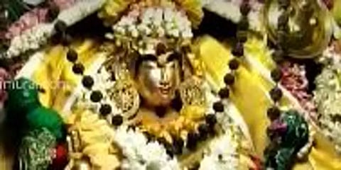 திருவாலங்காடு முதல் திருநள்ளாறு வரை.. சிவாலயங்களில் விமர்சையாக நடைபெற்ற ஆருத்ரா தரிசனம்!