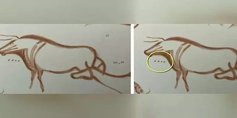 20,000 ஆண்டு பழமையான ஓவியங்களில் மர்ம குறியீடுகள் - டிகோட் செய்த ஆராய்ச்சியாளர்கள்!