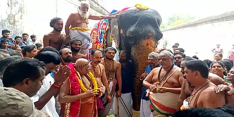 அபயாம்பிகை யானை ஆலயத்திற்கு வருகை தந்து 50 ஆண்டுகள்.. சீர்வரிசை எடுத்து கொண்டாட்டம்!
