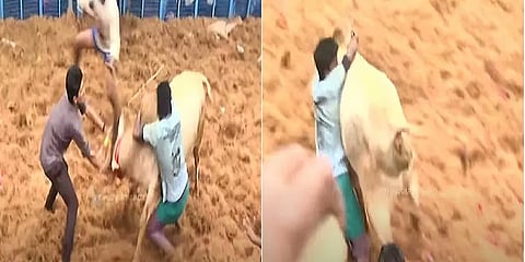 ”புழுதி பறக்க சீறிப்பாய்ந்த காளைகள்; துணிவோடு நின்ற வீரர்கள்”-தச்சங்குறிச்சி ஜல்லிக்கட்டு!