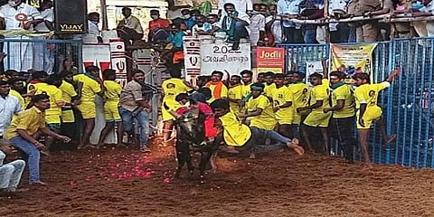 அவனியாபுரம் ஜல்லிக்கட்டை அனைத்து சமூகத்தினரும் இணைந்து நடத்தக் கோரி வழக்கு