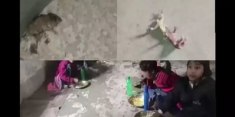 மே.வங்கம்: ஆரம்ப பள்ளி மதிய உணவில் கிடந்த எலி, பல்லி - போராட்டத்தில் இறங்கிய மக்கள்