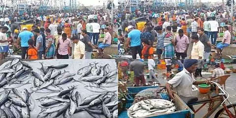 மாட்டுப் பொங்கலை முன்னிட்டு மீன் வாங்க குவிந்த மக்கள்!