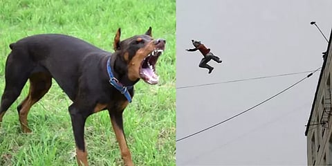 நாயிடமிருந்து தப்பிக்க 3-வது மாடியிலிருந்து குதித்த டெலிவரி பாய்! இறுதியில் நேர்ந்த துயரம்