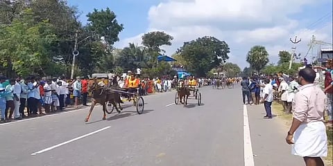 `கீழே விழுந்ததும் தோத்துட்டேனு நினைச்சீங்களா...’-மீண்டெழுந்து முதல் பரிசு பெற்ற குதிரை!