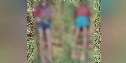 தென்காசி: பன்றிகளுக்கு பயந்து தான் அமைத்த மின்வேலியிலேயே சிக்கி உயிரிழந்த விவசாயி!