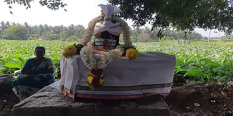 ஈரோடு: விவசாய நிலத்தில் கிடந்த புலிக்குத்தி நடுகல், சிவலிங்கம்! வழிபாடும் நடத்தும் மக்கள்