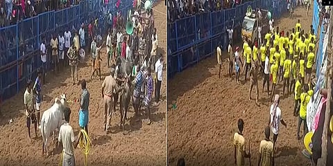 திண்டுக்கல்: திடீரென நிறுத்தப்பட்ட கொசவபட்டி ஜல்லிக்கட்டு.. காரணம் இதுதான்!