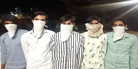 போலீசாருக்கு போக்கு காட்டிய வடமாநில கும்பல் கைது: மாடுகளை திருடியது ஏன்? -அதிர்ச்சி தகவல்