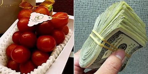 எதே ஒரு கொத்து திராட்சைக்கு இத்தனை லட்சம் விலையா? அப்படி என்ன ஸ்பெஷல் இதில்?