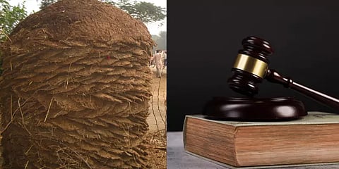 'மாட்டு சாணம் பூசப்பட்ட வீட்டை அணுக்கதிர் வீச்சு தாக்காது' - சொல்கிறார் குஜராத் நீதிபதி