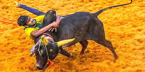 ”இது மனசுக்கு வருத்தமா இருக்கு”-பாலமேடு ஜல்லிக்கட்டும், ஒரு மாடுபிடி வீரரின் வாழ்க்கையும்!