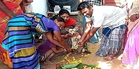 ராசிபுரம்: உறவினர்கள் புடை சூழ வளர்ப்பு நாய்க்கு வளைகாப்பு நடத்திய குடும்பத்தினர்