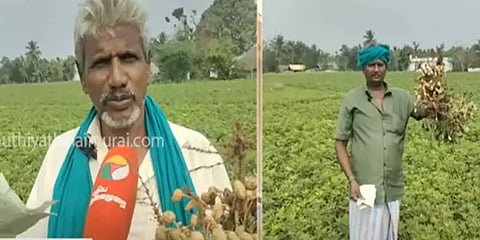 ”ஓடு பெரிசு.. ஆனா, உள்ளே பருப்பு கருப்பா இருக்கு” - விருத்தாசலம் மணிலா விவசாயிகள் வேதனை!