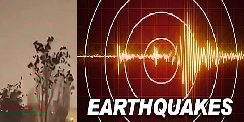 நிலநடுக்கத்தை காட்டுப்பறவைகள் முன்கூட்டியே உணர்கிறதா? - ஆய்வுகள் சொல்லும் உண்மை என்ன?