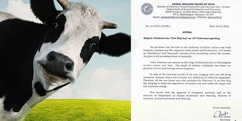 காதலர் தினத்தை 'பசு அணைப்பு தினமாக' கொண்டாட அழைப்பு - மீம்ஸ்களை தெறிக்கவிடும் நெட்டிசன்கள்