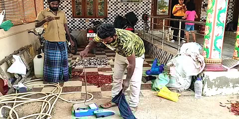 தென்காசி: ஷூவில் பதுங்கியிருந்த கொம்பேறி மூக்கன் பாம்பு.. ஷாக் ஆன பள்ளி மாணவன்!