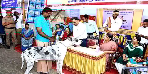 மயிலாடுதுறையில் நடைபெற்ற நாய்கள் கண்காட்சி: முதல் பரிசை தட்டித் தூக்கிய திருவாரூர் நாய்