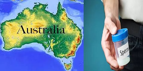 போலி பெயரில் 60 பேருக்கு விந்தணு தானம்! ஒரே முகஜாடையிலிருந்த குழந்தைகளால் குற்றம் அம்பலம்