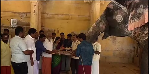 மதுரை மீனாட்சியம்மன் கோயில் யானை பார்வதிக்கு மீண்டும் உடல்நலக்குறைவு: தீவிர சிகிச்சை!