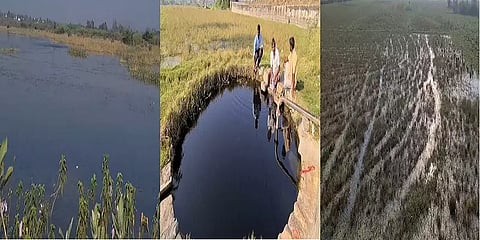 வந்தவாசி: ஒரு காலத்தில் முப்போகம் விளைந்த நிலங்கள்.. கழிவுநீரால் கரம்பாகி மலடான சோகம்!