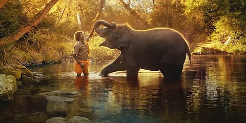 ஆஸ்கர் விருதை வென்றது முதுமலை தம்பதி குறித்த ’THE ELEPHANT WHISPERERS’ ஆவண குறும்படம்