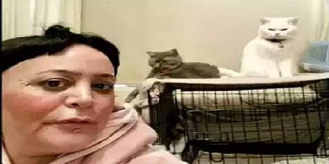 வளர்ப்பு பூனைகளுக்கு உணவளிப்பதற்காக தினம் ஒருவேளை மட்டும் சாப்பிடும் பெண்மணி!