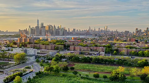 Understanding Co-living and Bushwick Apartments