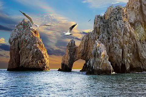 Journey to the Heart of Cabo San Lucas: