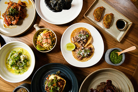 Casa Carmen: A Taste of Authentic Mexico in the Heart of NYC
