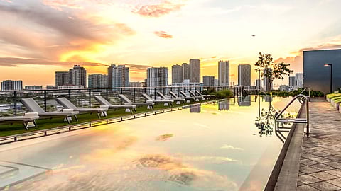Wynwood 25 Pool
